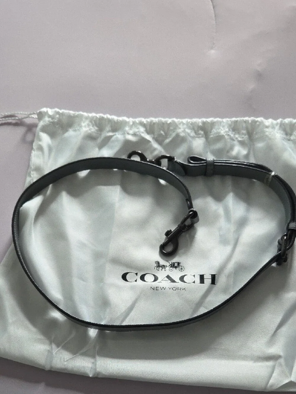 Coach Cassie Pebbled Leather Turnlock Crossbody in Light Gray